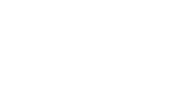 fei network logo